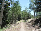 photo thumbnail #9