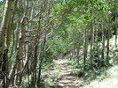 photo thumbnail #11