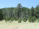photo thumbnail #14