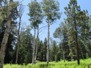 photo thumbnail #15