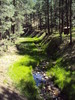 photo thumbnail #3
