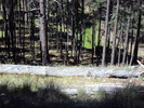 photo thumbnail #8