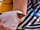 photo thumbnail #10