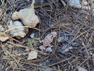 photo thumbnail #12