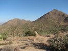 photo thumbnail #3