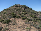 photo thumbnail #9