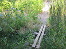 photo thumbnail #4