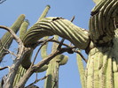 photo thumbnail #13