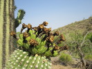 photo thumbnail #14
