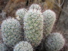 photo thumbnail #15