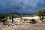 photo thumbnail #9