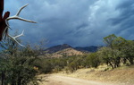photo thumbnail #13