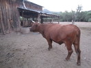 photo thumbnail #8