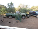 photo thumbnail #10