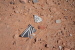 photo thumbnail #12