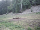 photo thumbnail #4