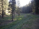 photo thumbnail #13