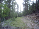 photo thumbnail #4