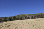 photo thumbnail #10