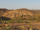 photo thumbnail #2