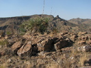 photo thumbnail #7