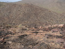 photo thumbnail #8