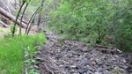 photo thumbnail #10
