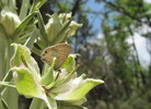 photo thumbnail #12