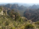photo thumbnail #4