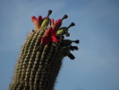 photo thumbnail #2