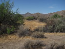 photo thumbnail #8
