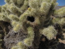 photo thumbnail #9