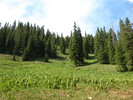 photo thumbnail #8