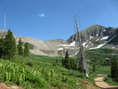 photo thumbnail #10