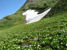 photo thumbnail #14
