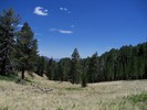 photo thumbnail #10