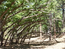 photo thumbnail #2