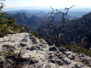 photo thumbnail #8