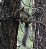 photo thumbnail #2