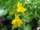 photo thumbnail #13