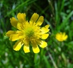 photo thumbnail #15
