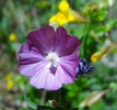 photo thumbnail #11