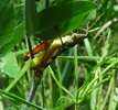 photo thumbnail #9
