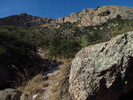 photo thumbnail #4