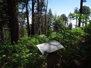 photo thumbnail #9