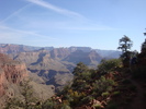 photo thumbnail #10