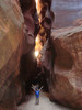 photo thumbnail #12