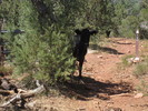 photo thumbnail #9