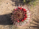 photo thumbnail #5