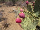 photo thumbnail #9